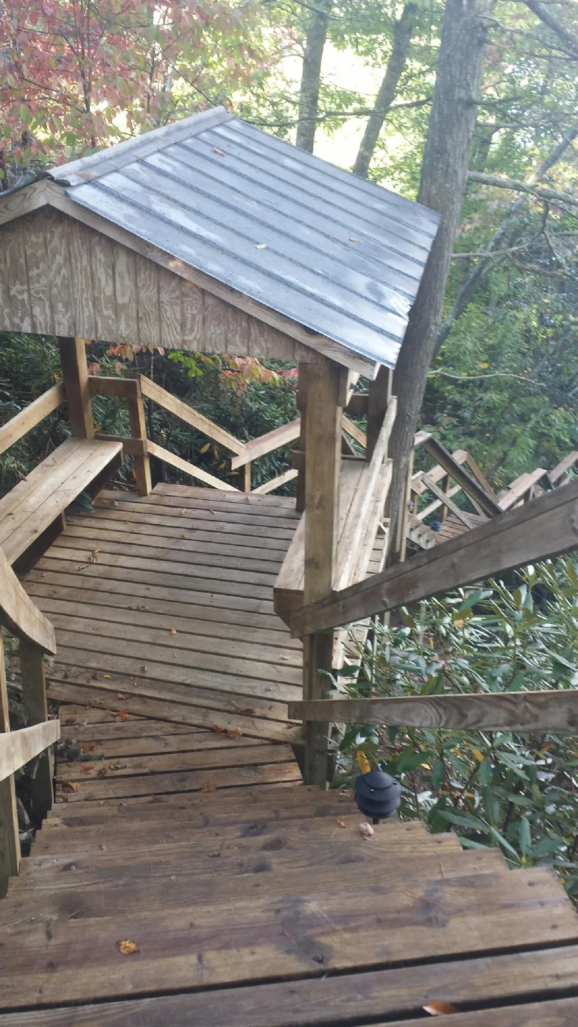 Metal roofed shelter over wooden steps on a wooded walkway — Skylight Repair & Installation work by our crew in Balm